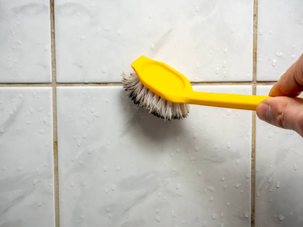 Best Mold Remediation  in Jacksonville, OR