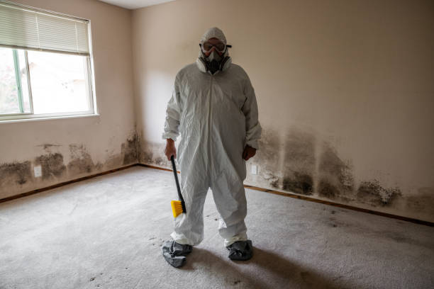 Best Home Mold Removal  in Jacksonville, OR
